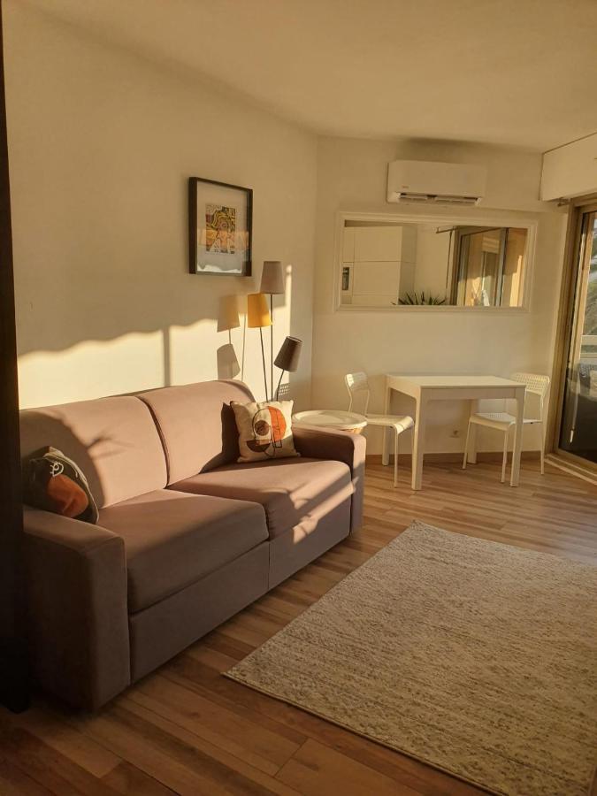 Bel Appartement A 50M De La Plage, 2 Pieces Climatisees, Parking Prive アンティーブ エクステリア 写真