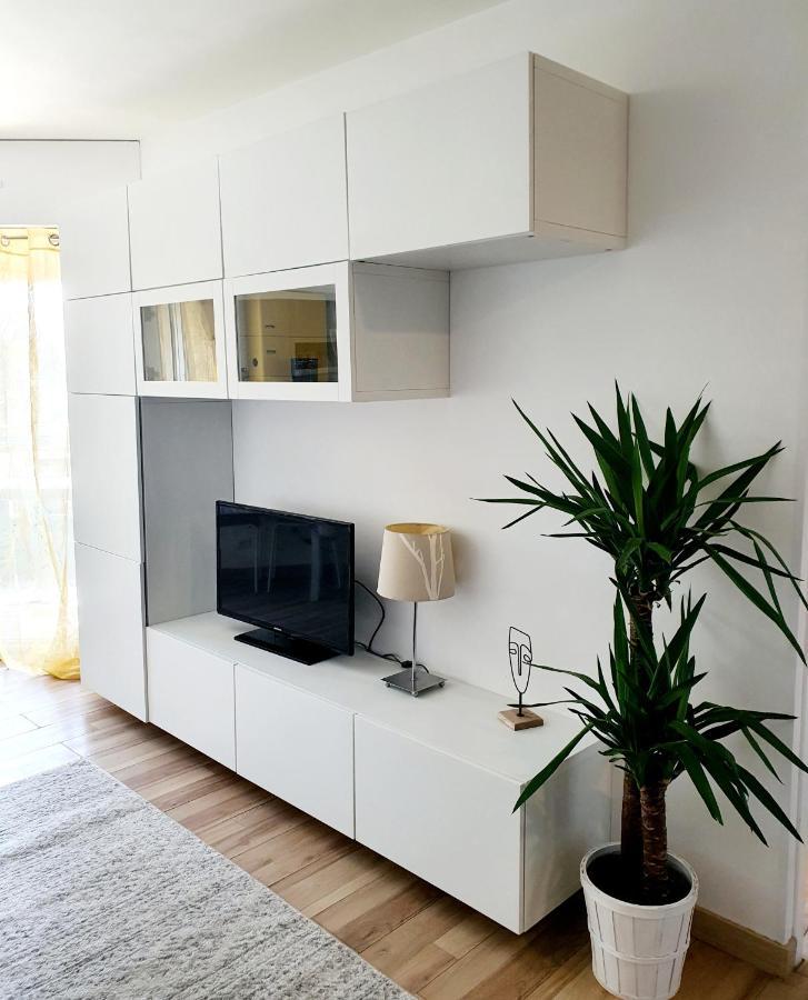 Bel Appartement A 50M De La Plage, 2 Pieces Climatisees, Parking Prive アンティーブ エクステリア 写真